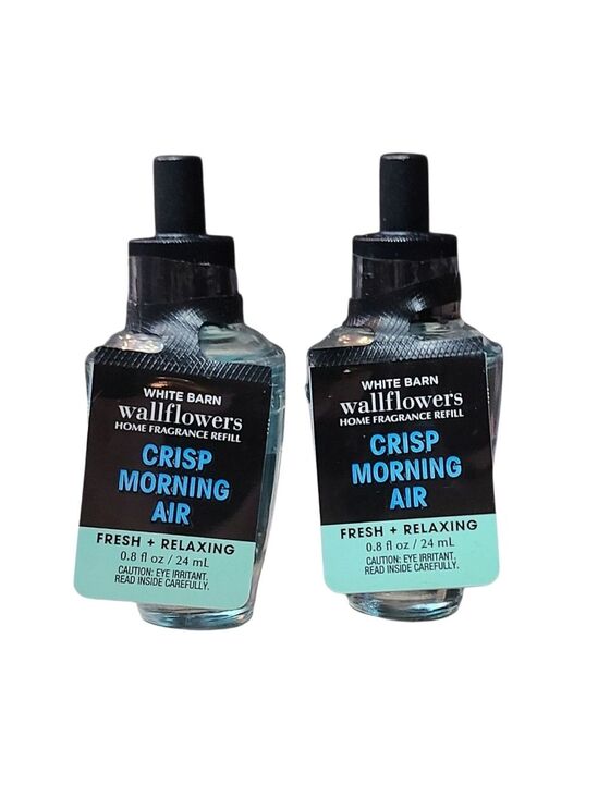 Bath & Body Works Other - CRISP MORNING AIR WALLFLOWER FRAGRANCE REFILLS BY BATH AND BODY WORKS
